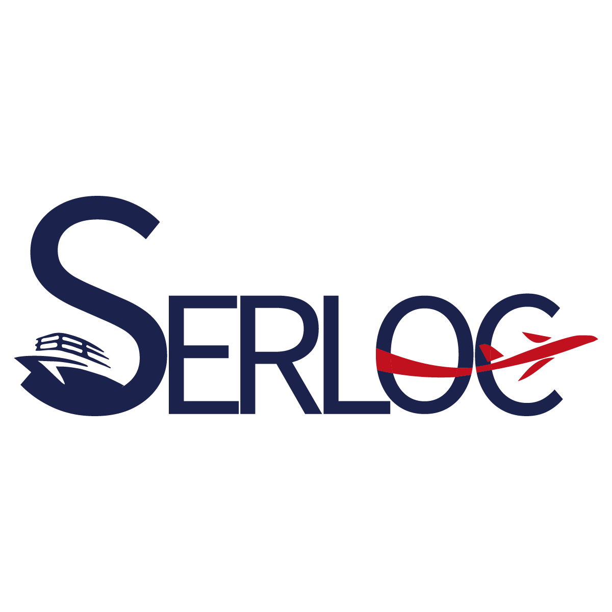 Servicio Logístico de Carga